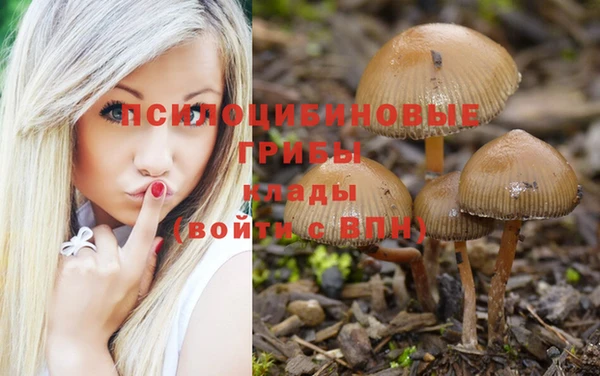 jwh Алексеевка