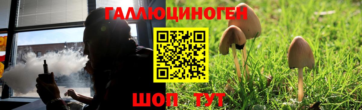 Сибай  Галлюциногенные грибы мухоморы  Вход с VPN 