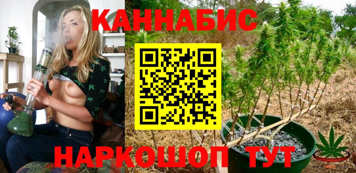 Марихуана гибрид  Шишки марихуана AK-47  Бошки Шишки Bruce Banner  Сибай  Вход с VPN  Канабис семена 